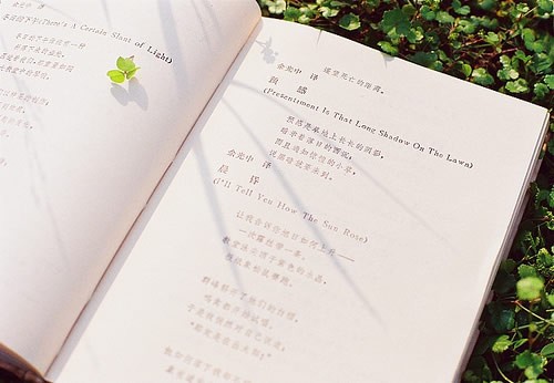 2020年四川成人高考考试时间在什么时候?(图1) 2020年四川成人高考考试时间在什么时候?