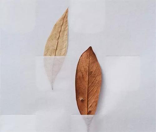 四川成人高考入学考什么科目?(图1) 四川成人高考入学考什么科目?