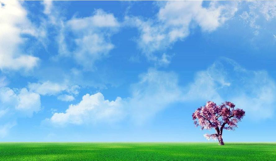 成都成人高考高升本要读几年?(图1) 成都成人高考高升本要读几年?(图1)