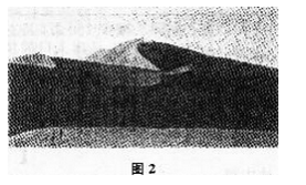 2014年成人高考全国统考高起点《史地综合》考试真题及参考答案(图2)